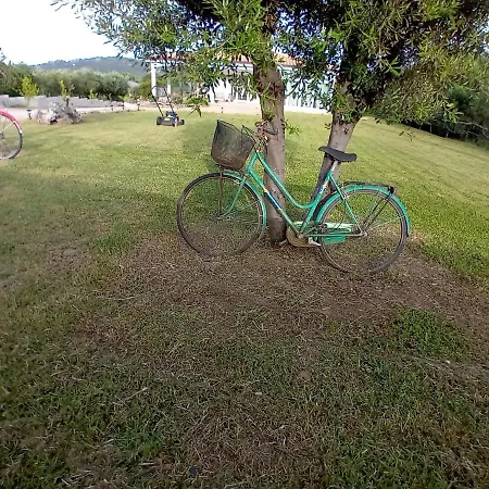 Mares E Montes De Marrante