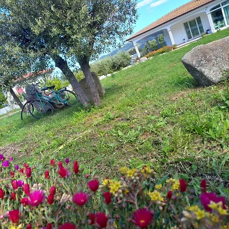 Κατάλυμα σε φάρμα Mares E Montes De Marrante