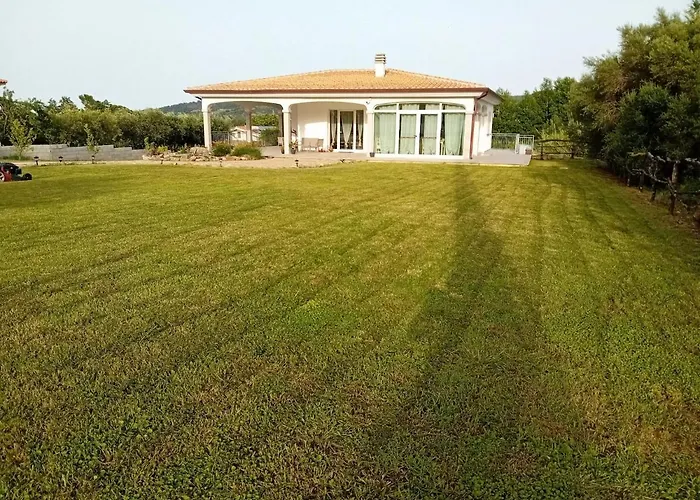 Mares E Montes De Marrante * シニスコーラ